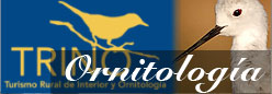 Ornitologia